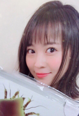 スクリーンショット 2017-06-08 16.48.13